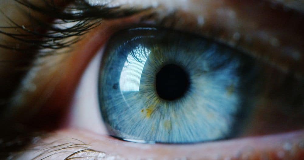 Close up of eye with blue iris